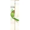 PET NOVA pagaliukas katei pelytė 40cm 3vnt
