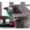 Petstages Dental Cherries žaislas katėms