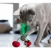 Petstages Dental Cherries žaislas katėms