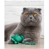 Petstages Toss 'N Dangle Frog žaislas katėms, 14 cm