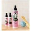 Petuxe Glamorous Dama kvepalai, 300 ml