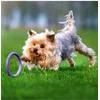Šuns įrankis Puller Micro Waudog 12.5 cm
