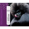 Show Tech+ Evolution Styling Purškiklis 500ml – Lightweight Finishing Mist, Long-Lasting Hold and Shine