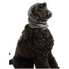 Show Tech Snood Luxe raištis ausims apsaugoti, juodas, L