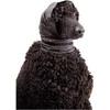 Show Tech Snood raištis ausims apsaugoti, juodas, L