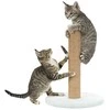 TRIXIE Junior draskyklė stulpas, 42cm, mėtų