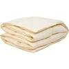 Rava Lux Antklodė su žąsų pūkų 155x200 cm RL54 1kg 70%