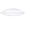 Rava Lux Bambuko pagalvė 60x60 cm RL204