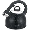Arbatinukas Bollire BR-3009, 2,5 l