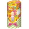 Dreams SONNY ANGEL Mini Figure - Flower Gift - Blind Box (1 Piece)