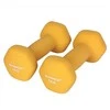 Songmics Hanteliai 2 x 1kg geltonos spalvos
