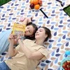 Pikniko antklodė spalvingi lapai