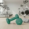 SONGMICS hanteliai, 2 vnt. rinkinys, 4kg, jėgos treniruotės, namuose, biure, sporto salėje, juodi