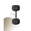 SONGMICS hantelių rinkinys, 2 vnt. hantelių rinkinys, šešiakampiai, trumpųjų hantelių rinkinys, 2 x 5kg, 2 x 10 kg, treniruotėms, fitneso treniruotėms, sunkiojo atletikos pratimams namuose, sporto salėje
