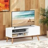 TV staliukas Songmics TV spintelė 120x40x49 cm medinė balta