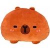 Capybara 3D cushion