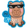 Capybara 3D cushion
