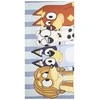 CERDÁ Bluey microfibre beach towel