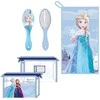 CERDÁ Disney Frozen toilet bag
