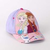 CERDÁ Disney Frozen towel + bag + cap set
