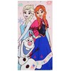 CERDÁ Disney Frozen towel + bag + cap set