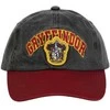 Kepurė CERDÁ Harry Potter Gryffindor cap