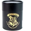 Cerdá Harry Potter 3páry