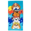 CERDÁ Spin Master Paplūdimio rankšluostis The Paw Patrol Mėlyna 20 x 35 x 4 cm 3 Dalys