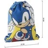 CERDÁ Sonic the Hedgehog gym bag 33cm