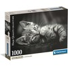 Clementoni Dėlionė 1000 vnt. - Kačiukas
