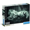 Clementoni Dėlionė 1000 vnt. - Kačiukas