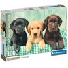 Clementoni Dėlionė 1000 vnt. - Šuniukai