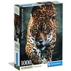 Clementoni Dėlionė 1000 vnt. - Jaguaras