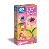 Clementoni Toys CLE IDEA mini gėlių fabrikas Anemone 18346