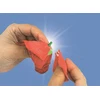Clementoni Toys CLE IDEA mini gėlių fabrikėlis Aguona 18345