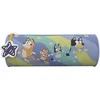Cyp Brands Bluey Light Waves pencil case