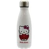Cyp Brands Hello Kitty Cancer stainless steel bottle 550ml