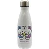 Gertuvė Cyp Brands Hello Kitty Geminis stainless steel bottle 550ml