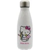 Cyp Brands Hello Kitty Sagittarius stainless steel bottle 550ml