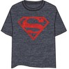 DC Comics Superman Logo adult t-shirt