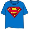 Dėlionė DC Comics Superman adult tshirt