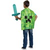 Disguise,Minecraft Disguise - Minecraft Sword with cape (156239)