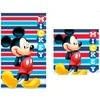 Rankšluostis Disney Mickey set 2 cotton bath towels