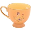 Widdop Co Disney Princess Belle tea cup & saucer