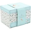 Widdop Co Disney Princess Vaiana Moana musical jewellery box