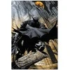 Plakatas ERIK DC Comics Batman Gargoyle poster