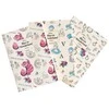 ERIK Disney Alice in Wonderland pack 3 A6 notebooks