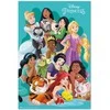 Plakatas ERIK Disney Princess poster