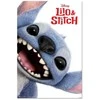 ERIK Disney Stitch Live Action poster