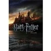 Plakatas ERIK Harry Potter and the Deathly Hallows poster